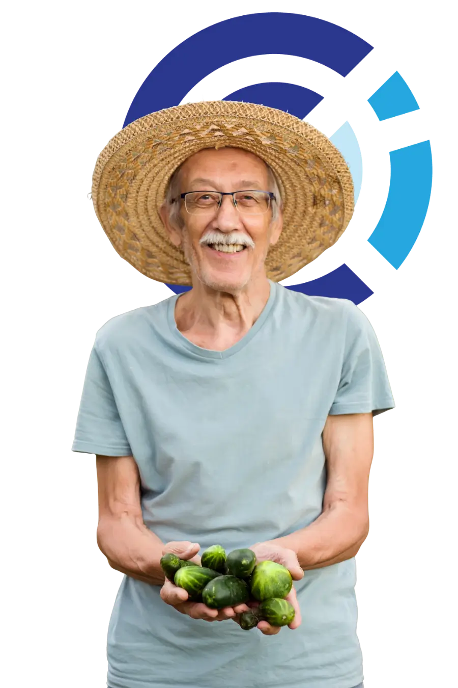 Smiling elderly farmer picking cucumbers, showing life beyond elderly abuse Female attendee contributing to a group discussion about personal experiences