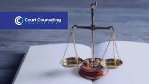 court mandated counseling expectations