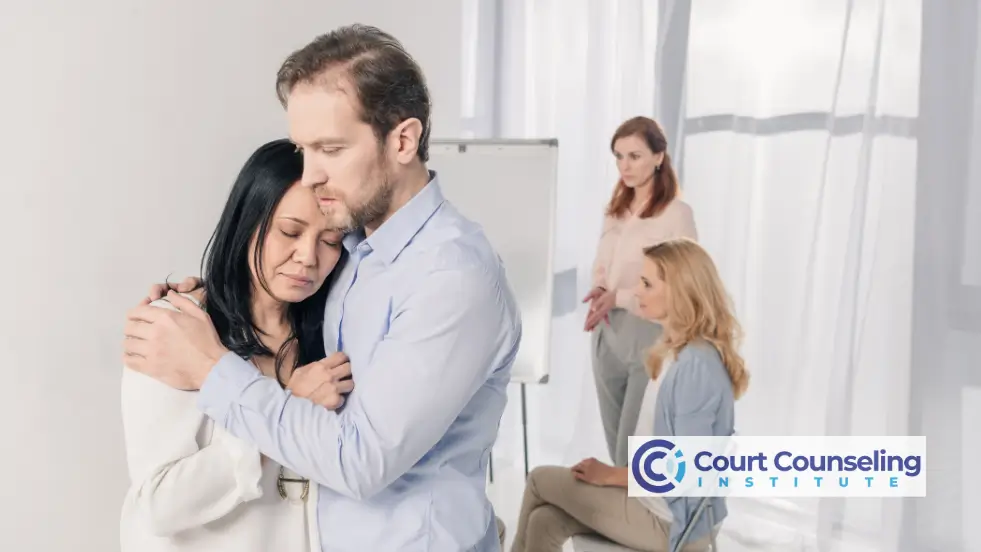 Professional domestic violence counseling program designed to meet court requirements with guidance.