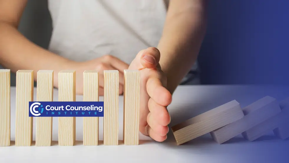 Compliance with court mandated requirements