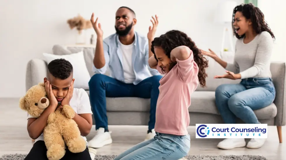 Lawyer and counselor providing guidance for court supervision