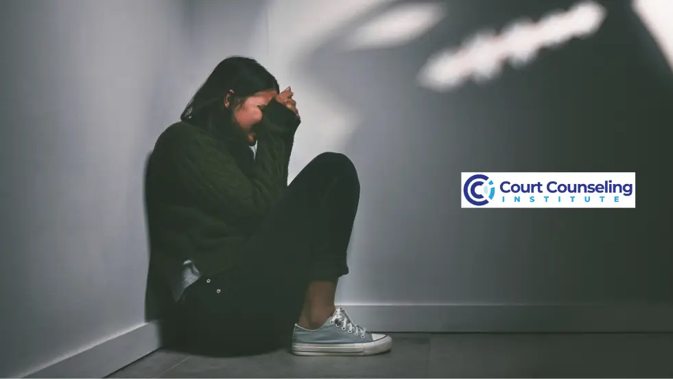 Lawyer and counselor providing guidance for court supervision