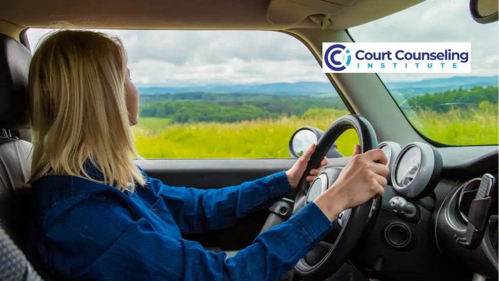 Lawyer and counselor providing guidance for court supervision