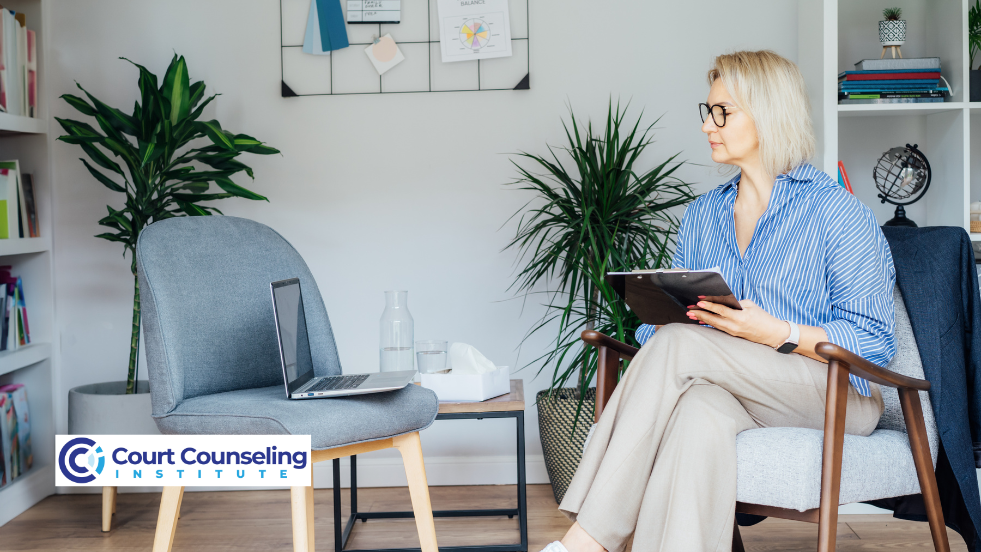 Lawyer and counselor providing guidance for court supervision