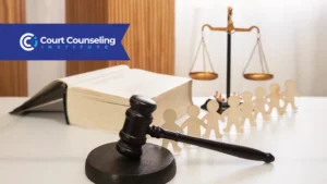 Counseling helps prepare cases for court by showing accountability and responsibility.