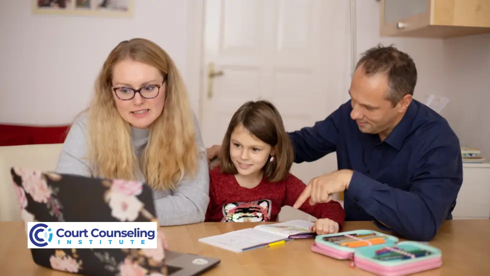 What is co parenting during high-conflict or challenging dynamics